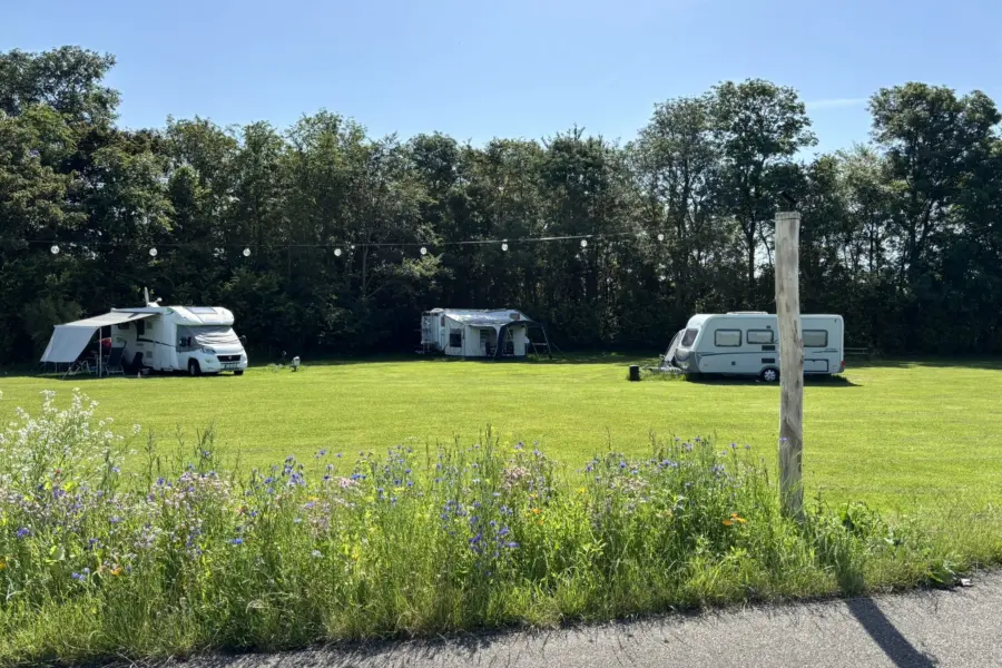 Camping Indijk juni 26 2